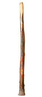 Heartland Didgeridoo (HD389)